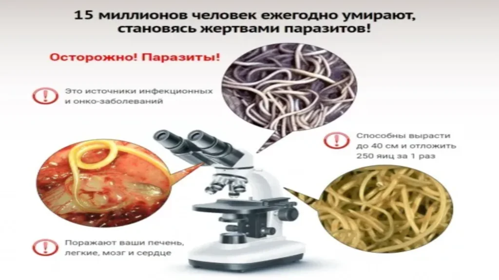 Detoxin - vásárlás - árak - összetétel - gyógyszertár - vélemények - hozzászólások - Magyarország - rendelés